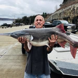 Meet your Posher, Gary